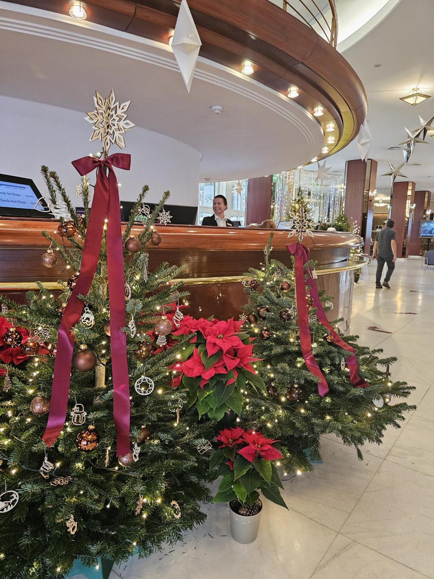 Hotel Aro Palace Brasov Exterior photo Christmas decorations at the lobby of the hotel
